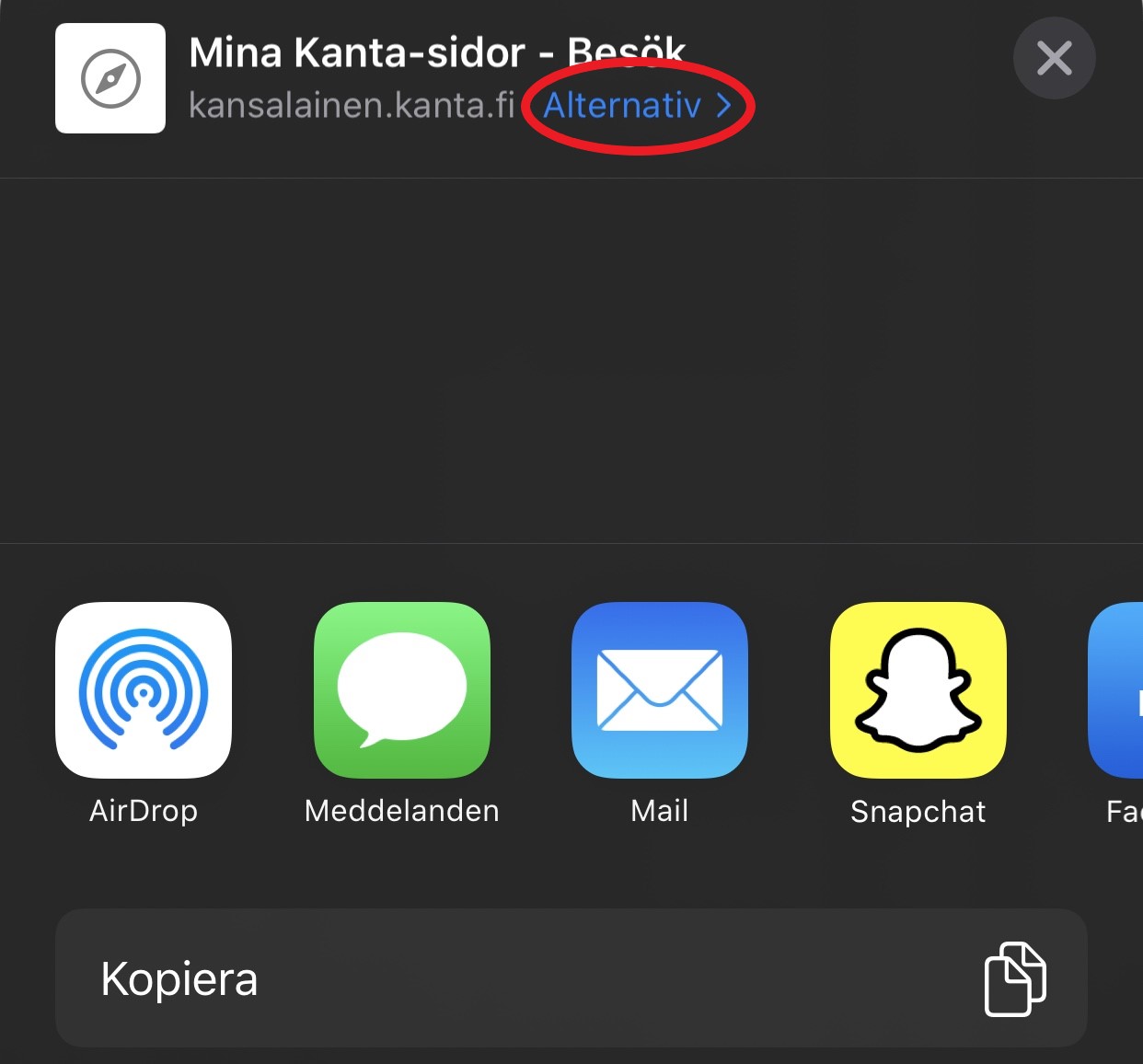 Var Sparas Nedladdade Filer Iphone